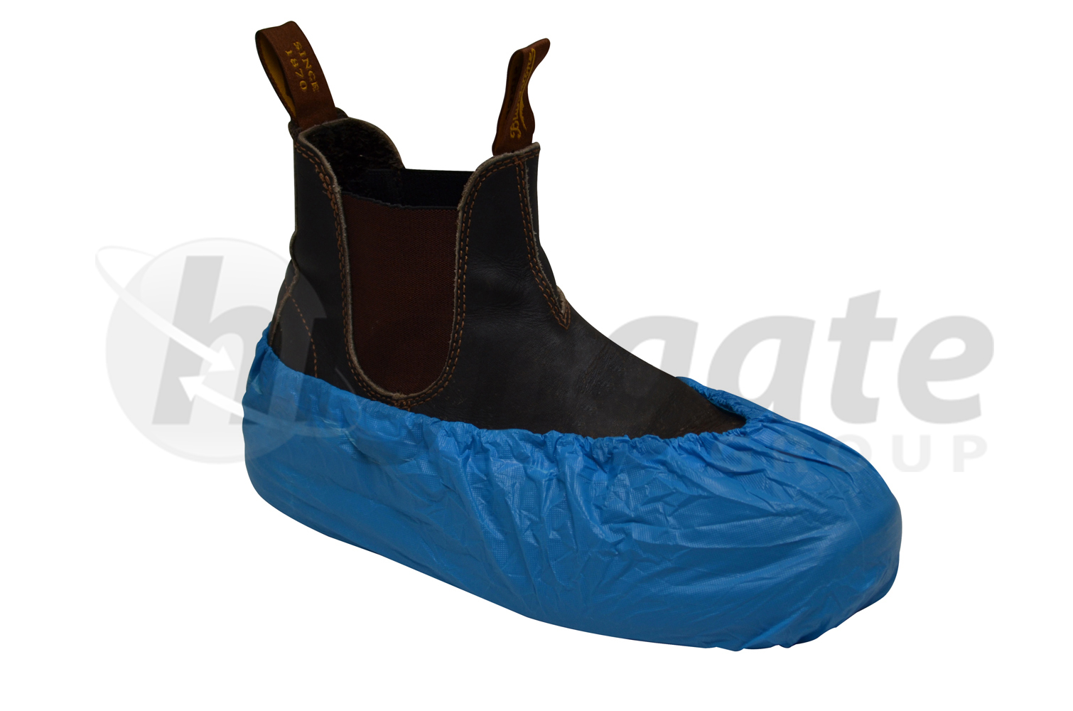 Shoe Covers (CPE) - Blue (1000/carton)